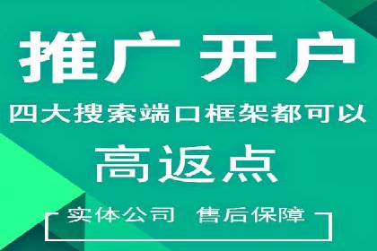 百度竞价代理技巧：经典成功案例解析